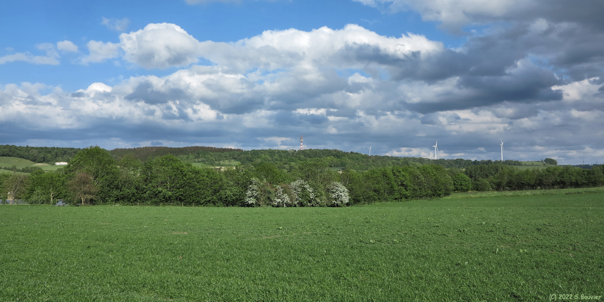 Sainte Beuve en Rivière (Vallée 1)