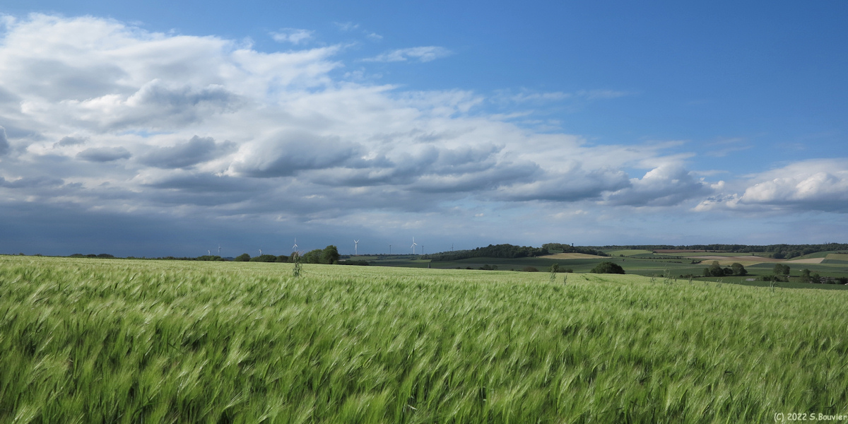 Sainte Beuve en Rivière (Vallée 2)