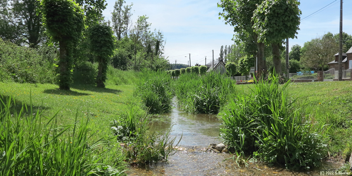Aubermesnil aux Erables (Yères)