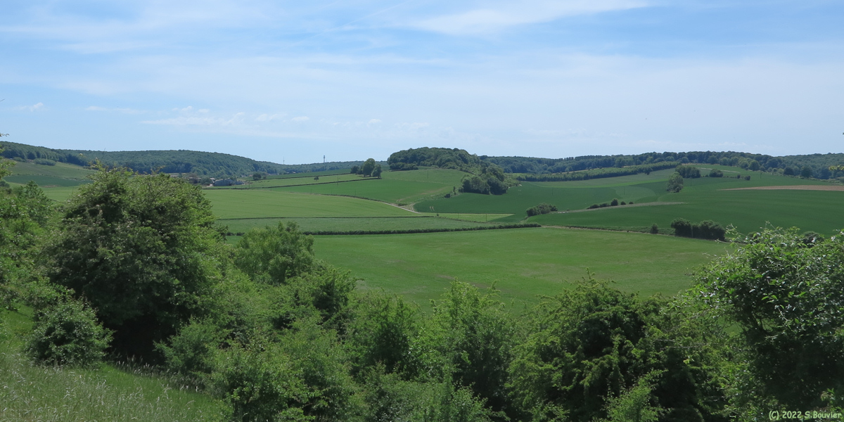 Aubermesnil aux Erables (Forêt)
