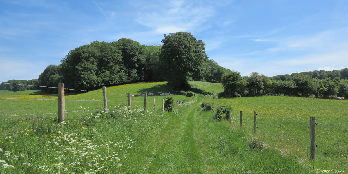 Rétonval (Chemin)
