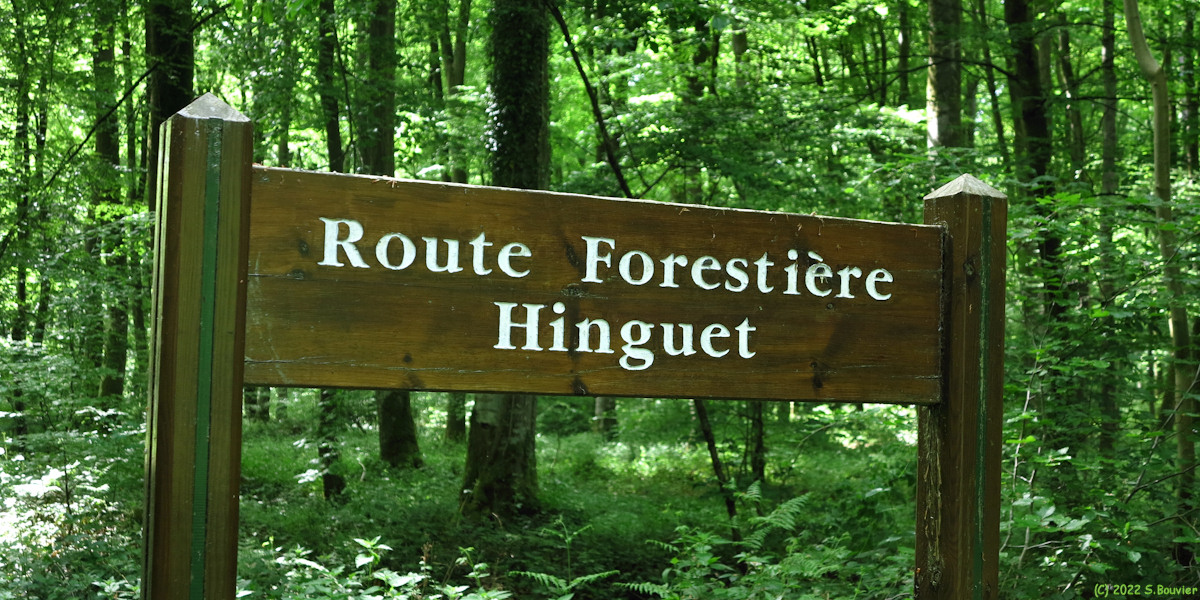 Basse Forêt d'Eu (Panneau)