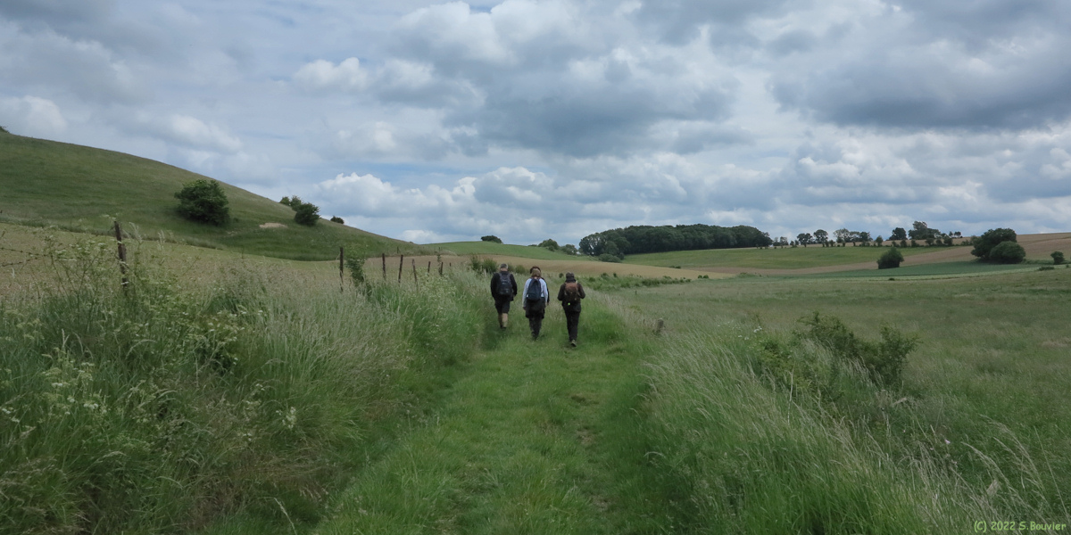 Saint Léger aux Bois (Chemin)