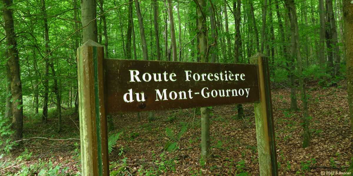 Basse Forêt d'Eu (Panneau)