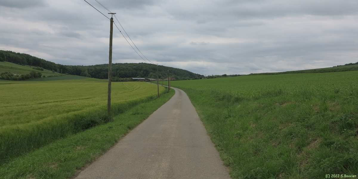 Aubermesnil aux Erables (Route 1)