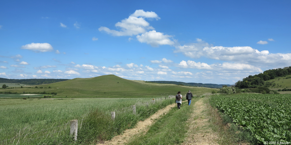 Pierrecourt (Chemin 2)