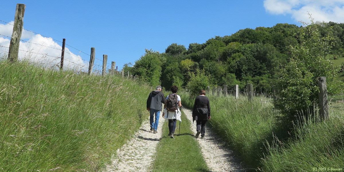 Nesle Normandeuse (Chemin 1)