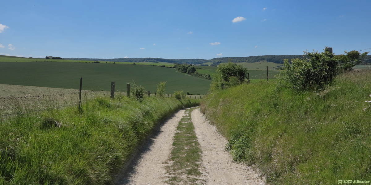 Nesle Normandeuse (Chemin 2)