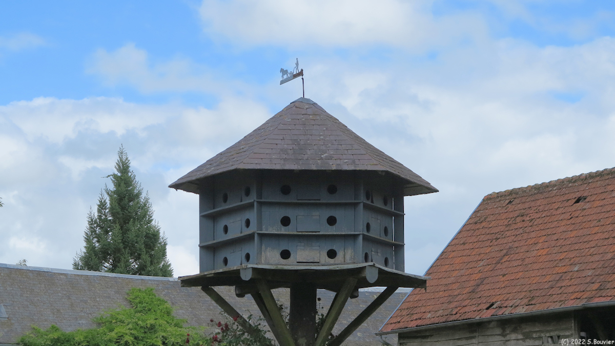 Haudricourt (Pigeonnier)