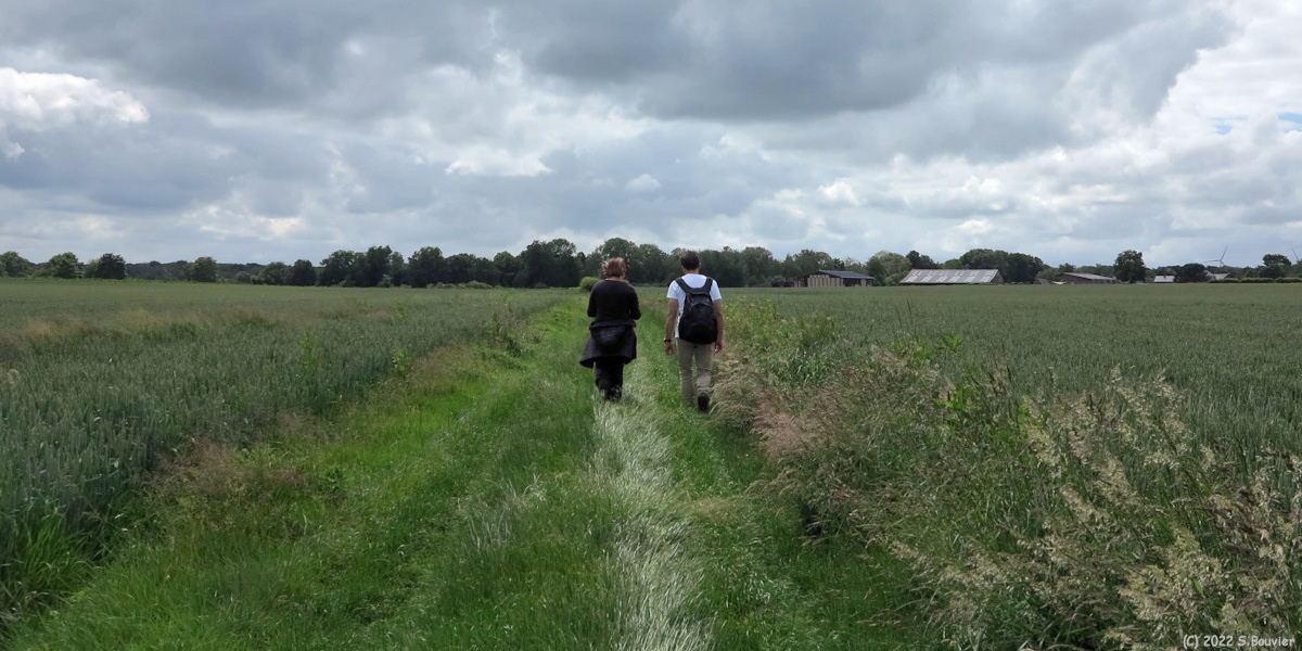 Haudricourt (Chemin)
