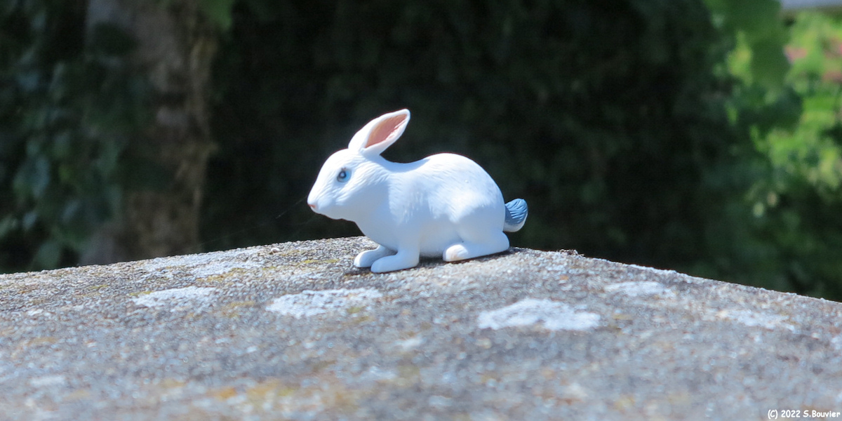 Lyons la Forêt (Lapin)