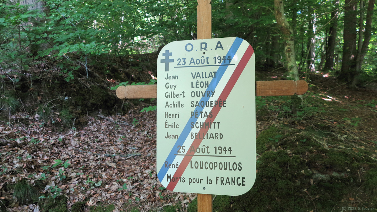 Forêt de Lyons (Croix des Fusillés 2)