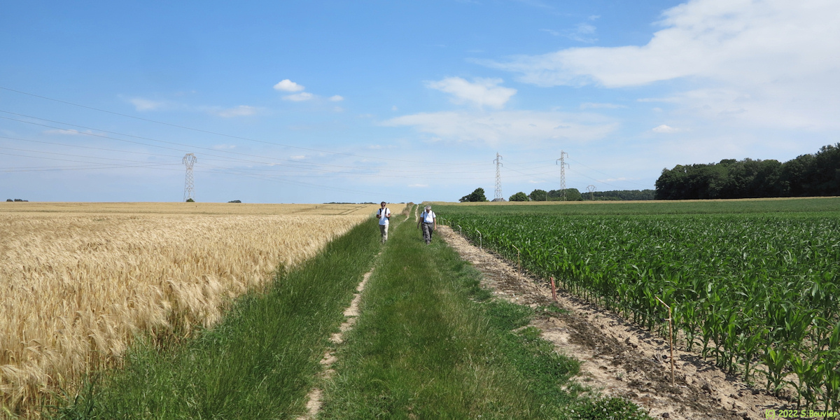 Saint Wandrille Rançon (Chemin)