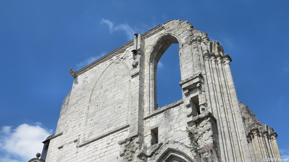 Saint Wandrille Rançon (Ruines 1)