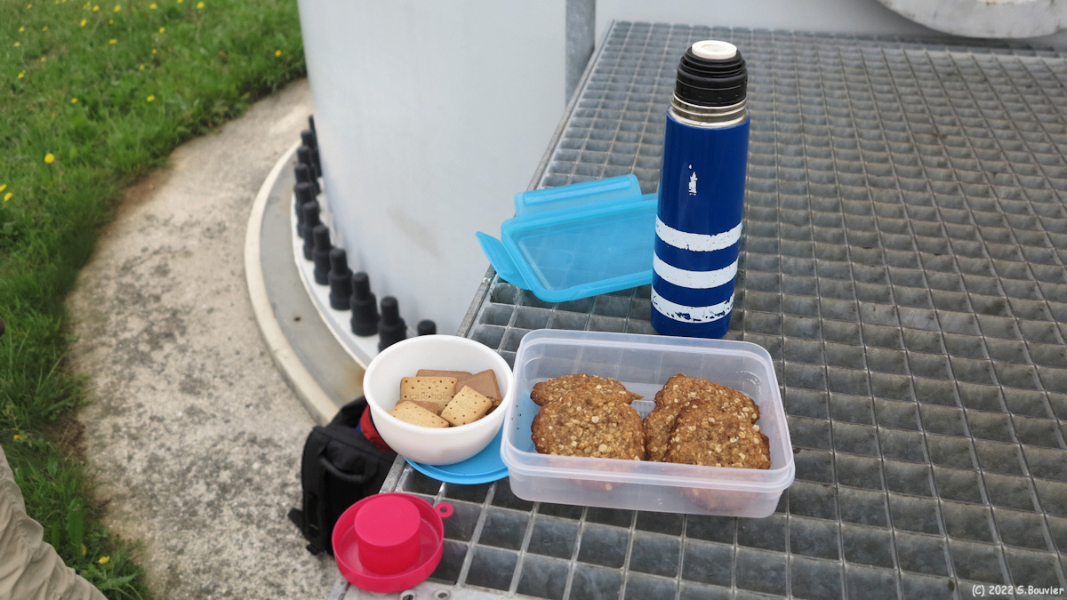 Gueures (Biscuits)