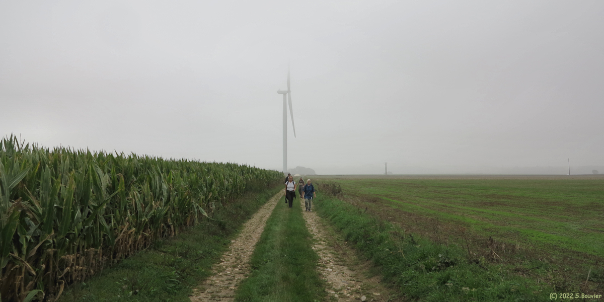 Gueures (Chemin)