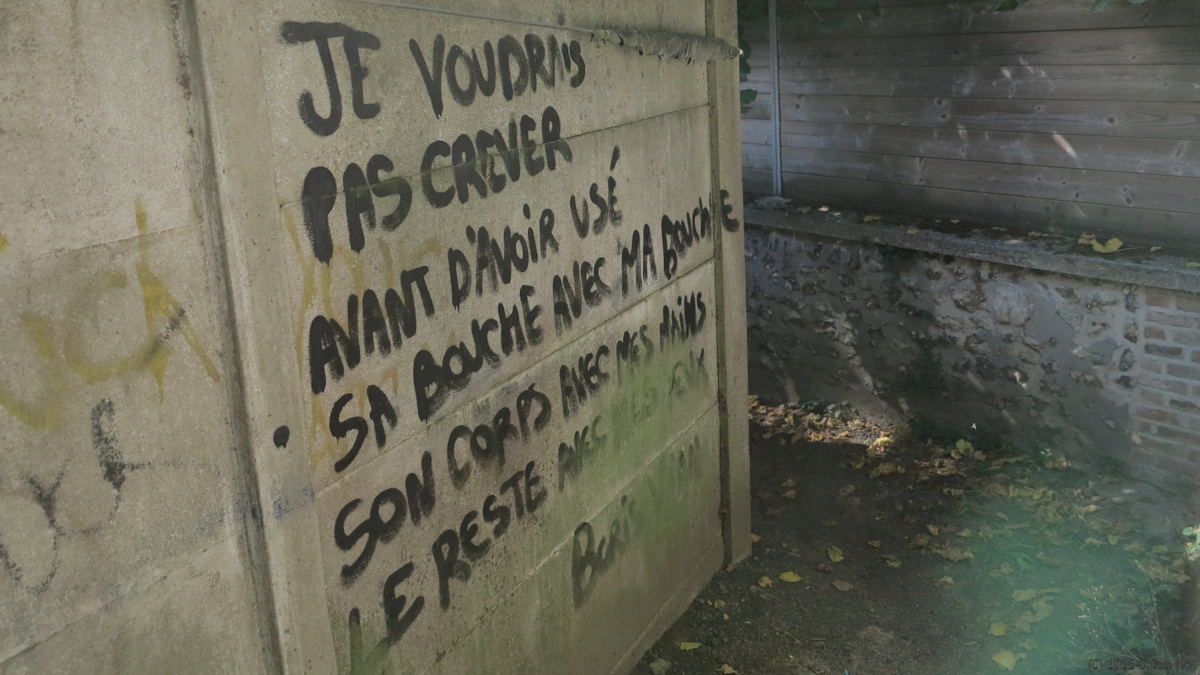 Luneray (Boris Vian)
