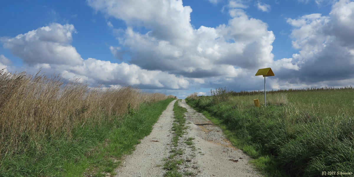 Brachy (Chemin)