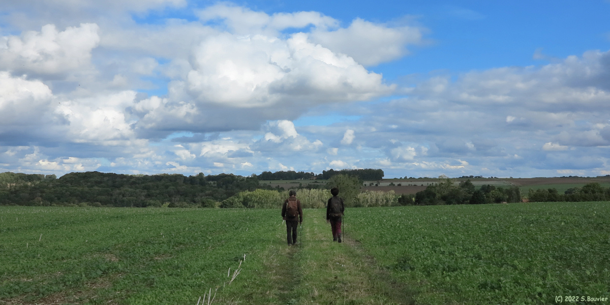 Rainfreville (Chemin)