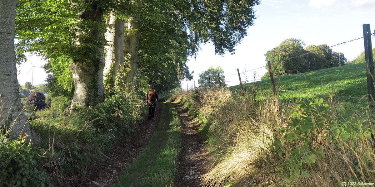 Brachy (Chemin)