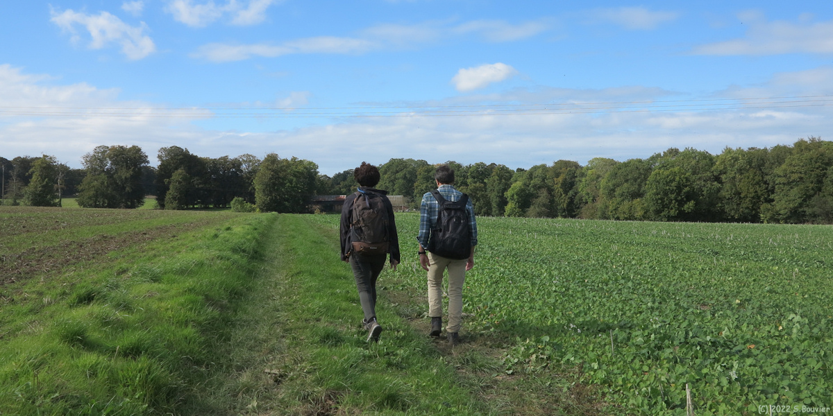 Rainfreville (Chemin)