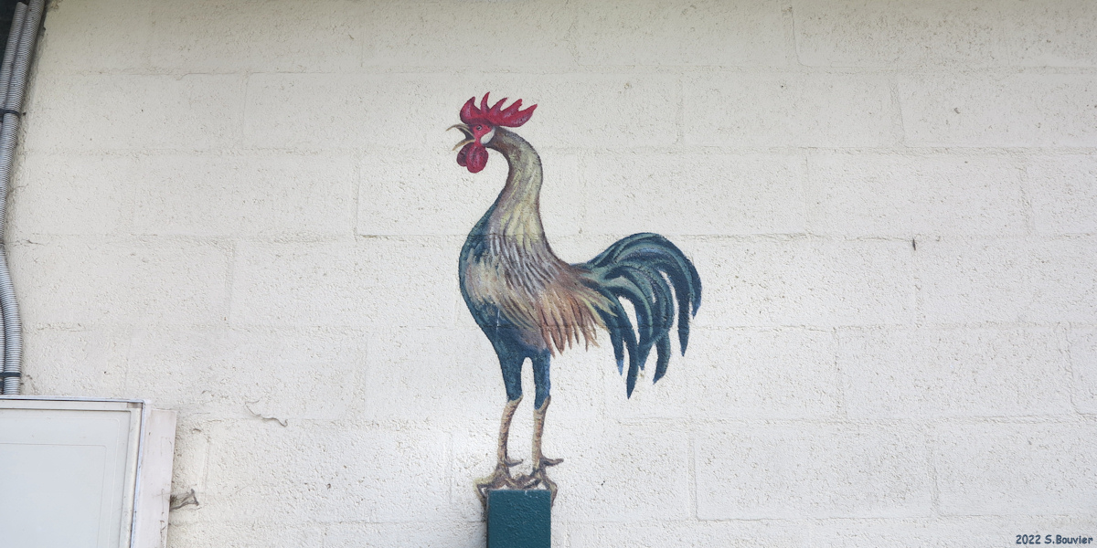 Tocqueville en Caux (Coq)