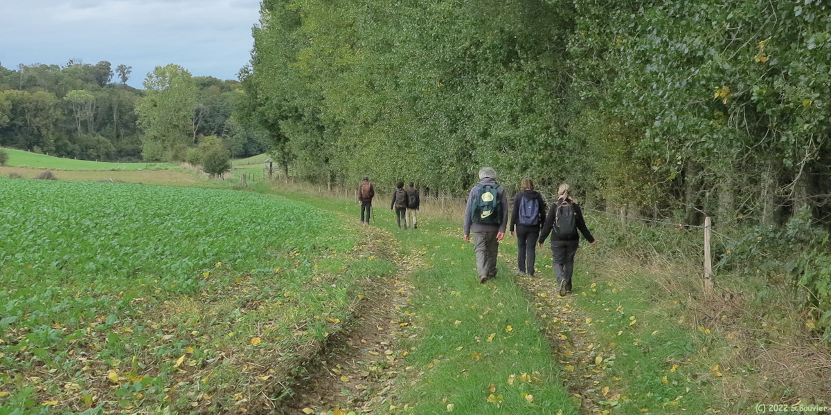 Gonnetot (Chemin)