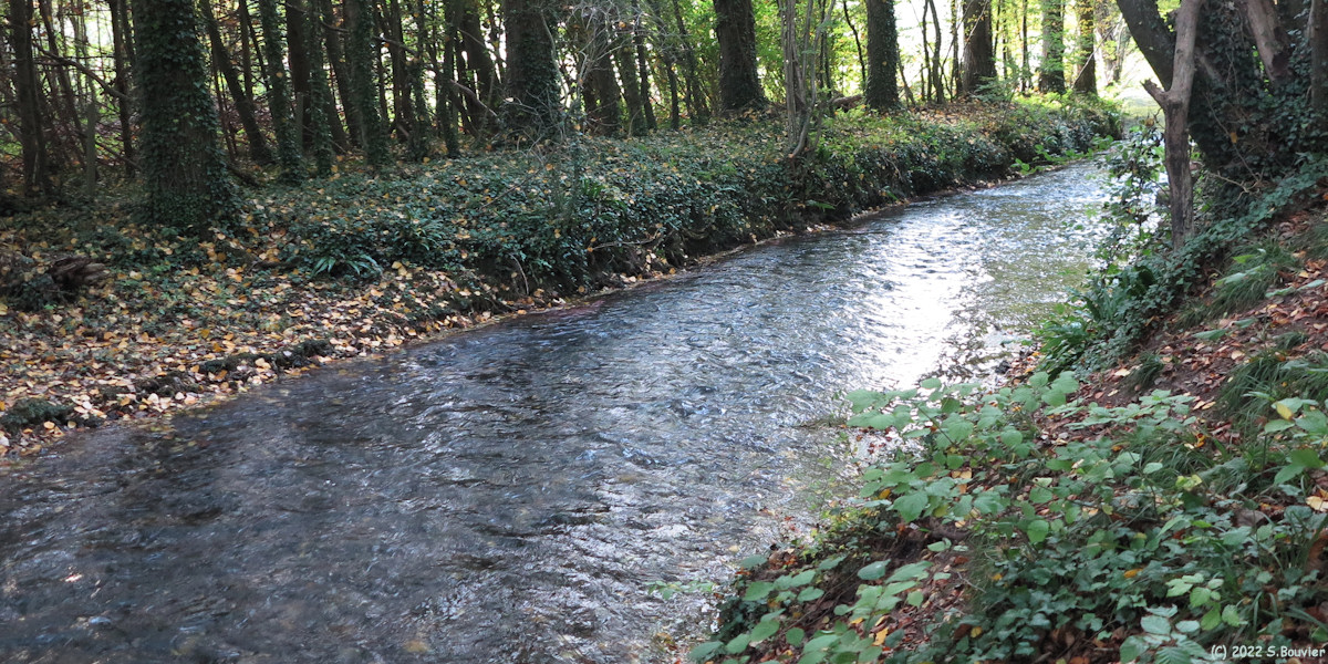 Saint Pierre Bénouville (Saâne 1)