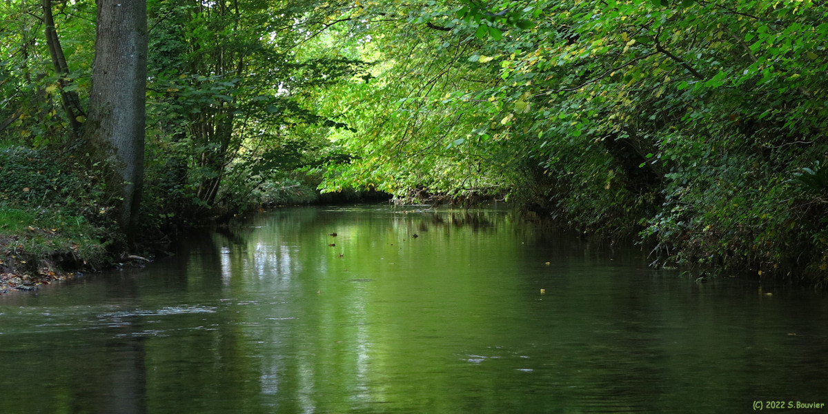 Val de Saâne (Saâne 2)