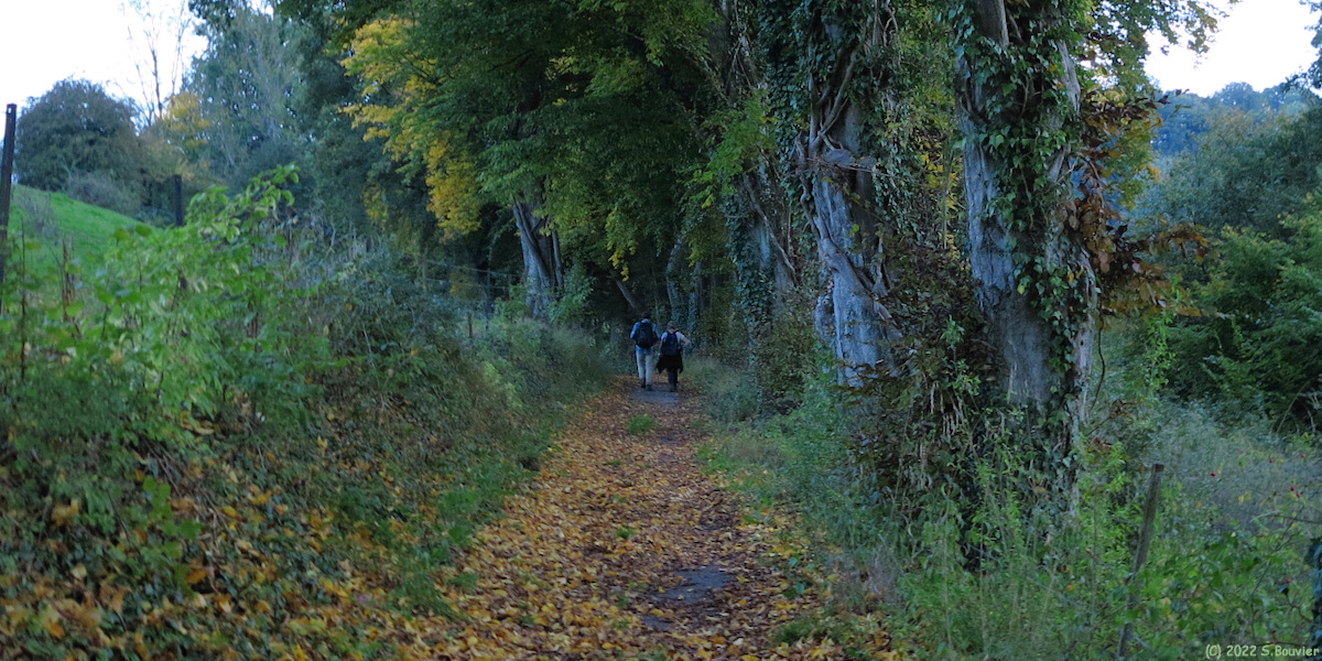 Val de Saâne (Chemin)