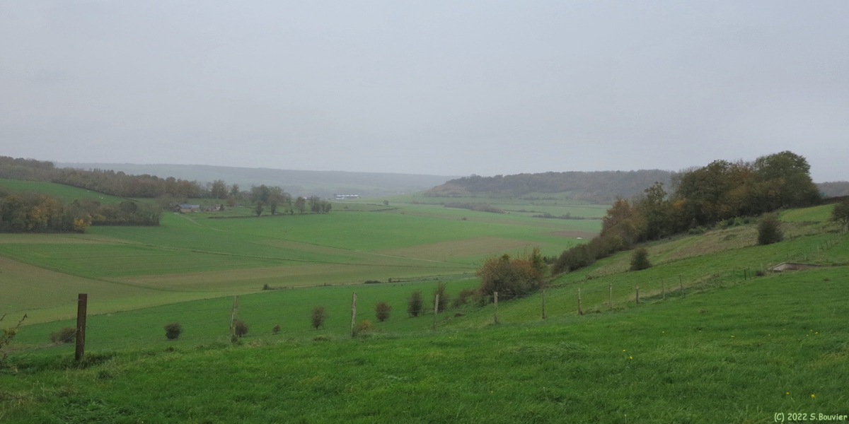 Notre Dame d'Aliermont (Fond 1)