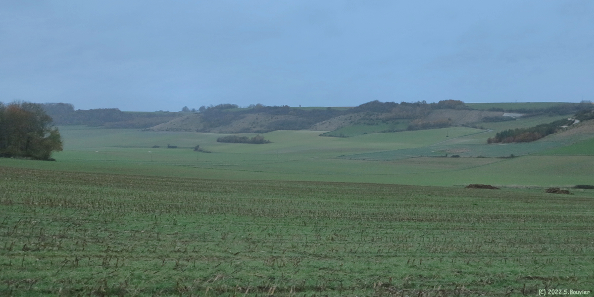 Notre Dame d'Aliermont (Fond 2)