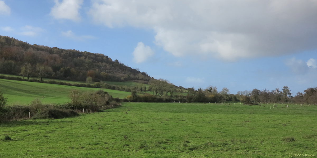 Damiere Saint Nicolas (Côte)