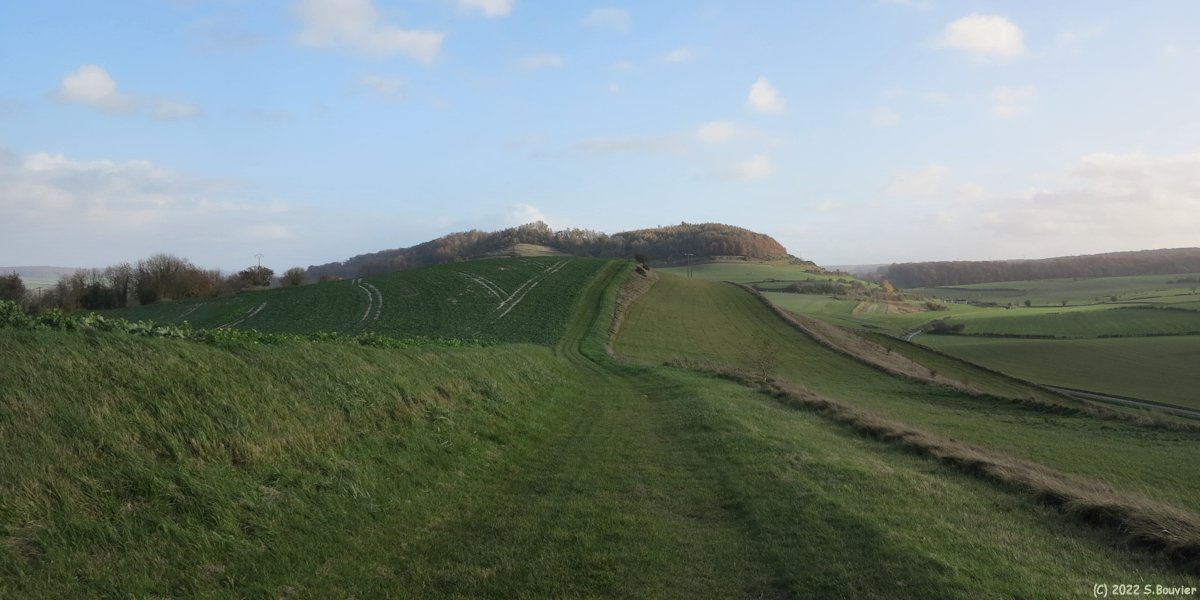 Saint Vaast d'Equiqueville (Chemin)