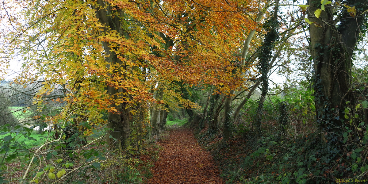 Offranville (Chemin)