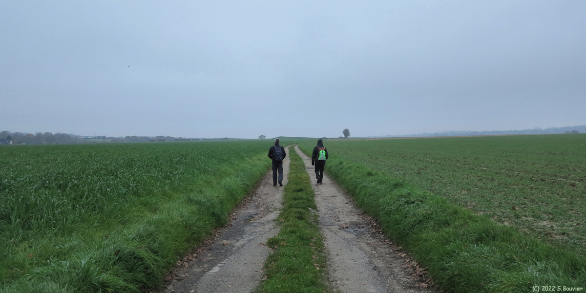 Rouxmesnil Bouteilles (Chemin)