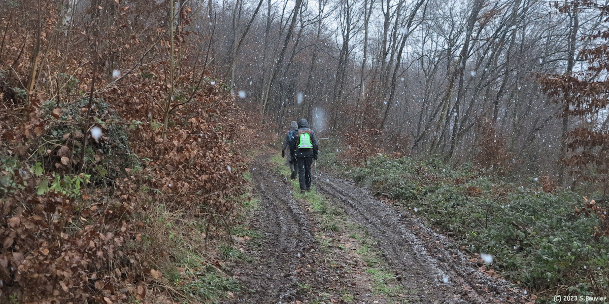 Bois de la Côte de Bondeville (Chemin)