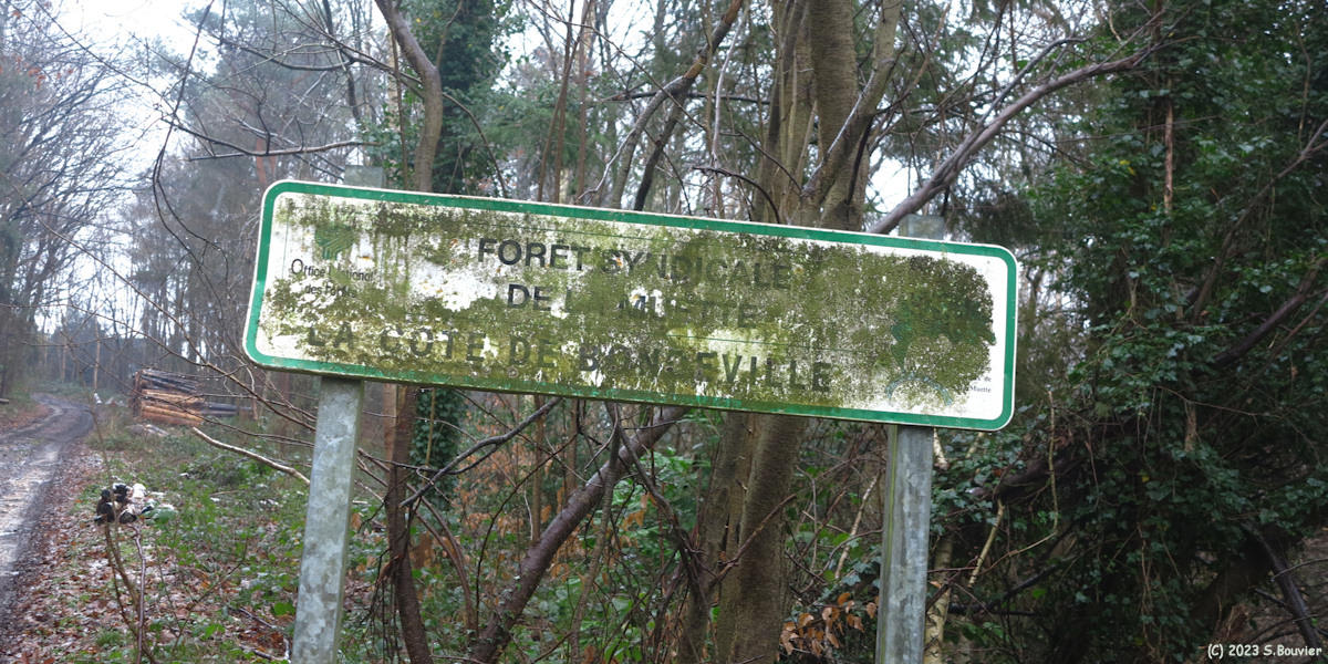 Bois de la Côte de Bondeville (Panneau)