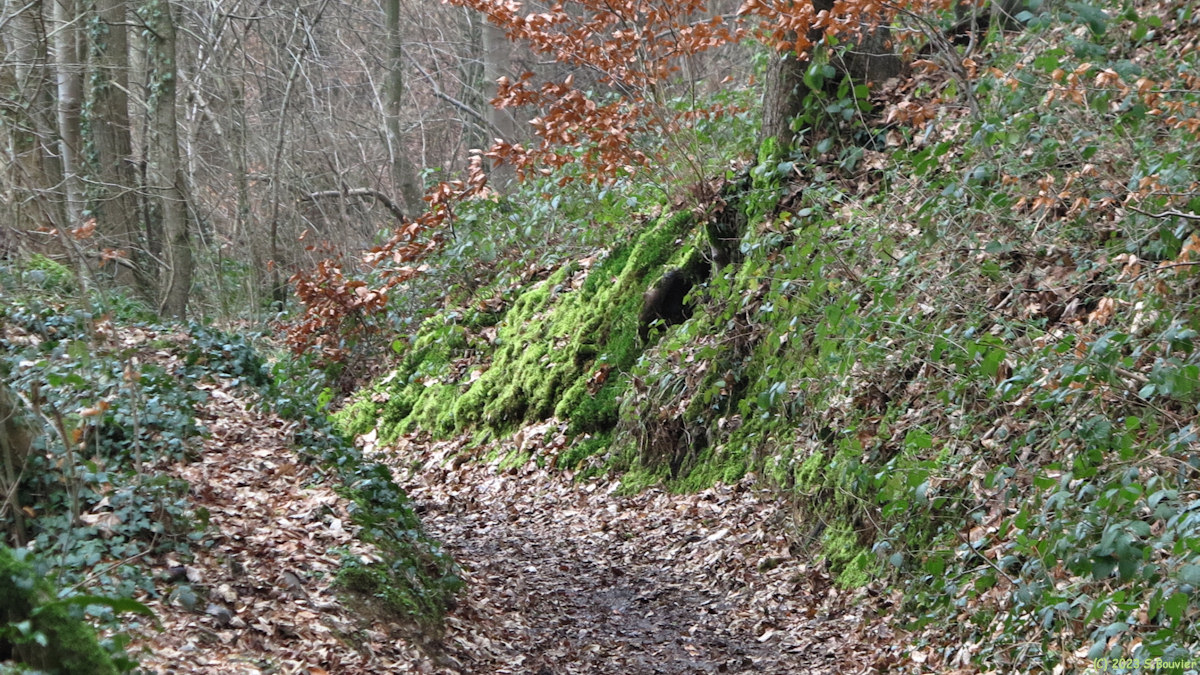 Val de Saâne (Sentier)
