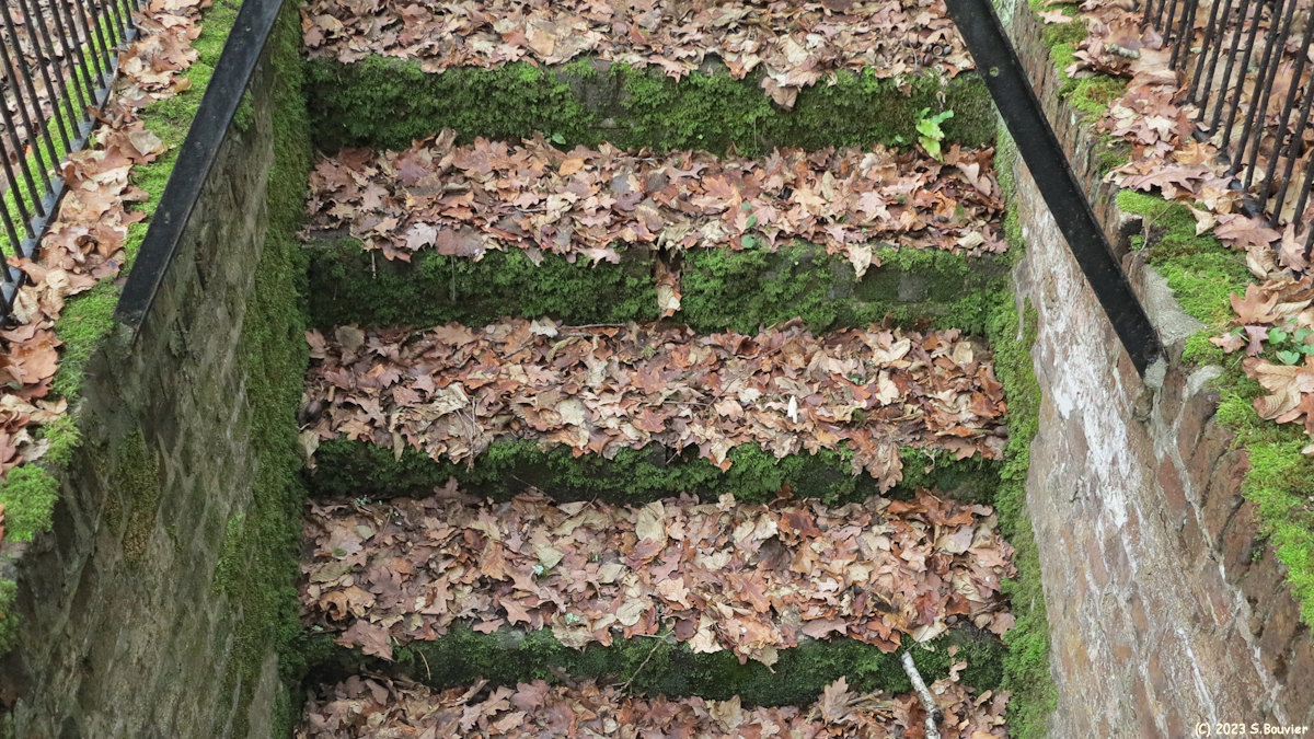 Val de Saâne (Escalier)