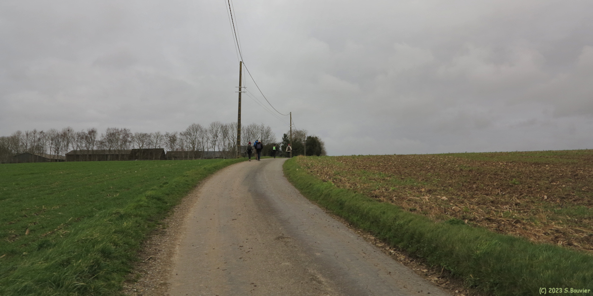 Bertrimont (Route)