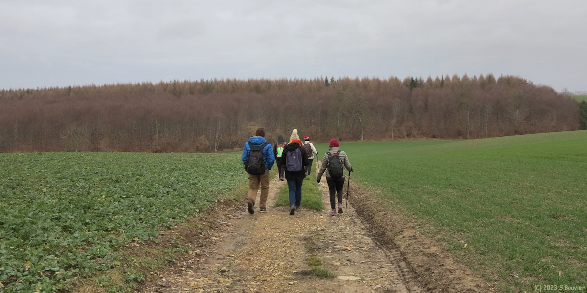 Bertrimont (Chemin)