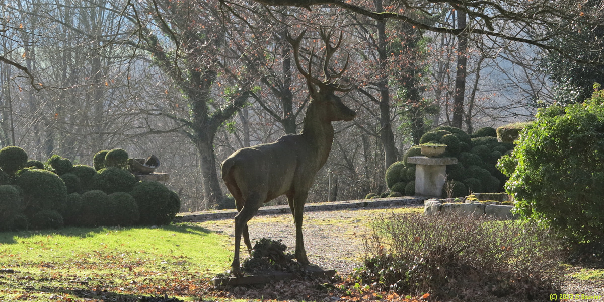 Hugleville en Caux (Cerf)