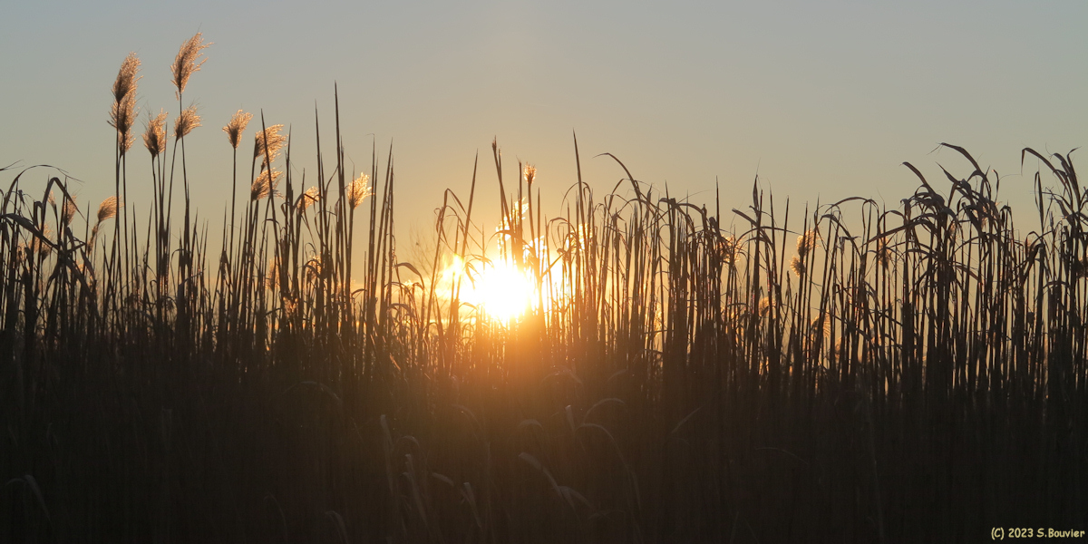Hugleville en Caux (Soleil couchant)
