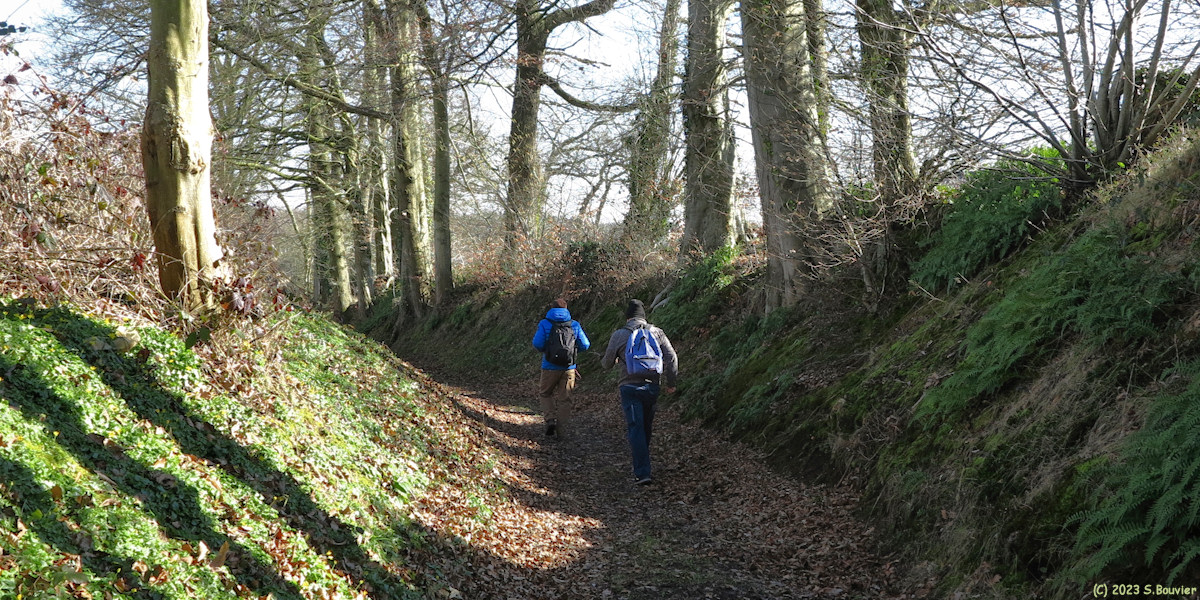 Emanville (Chemin 1)