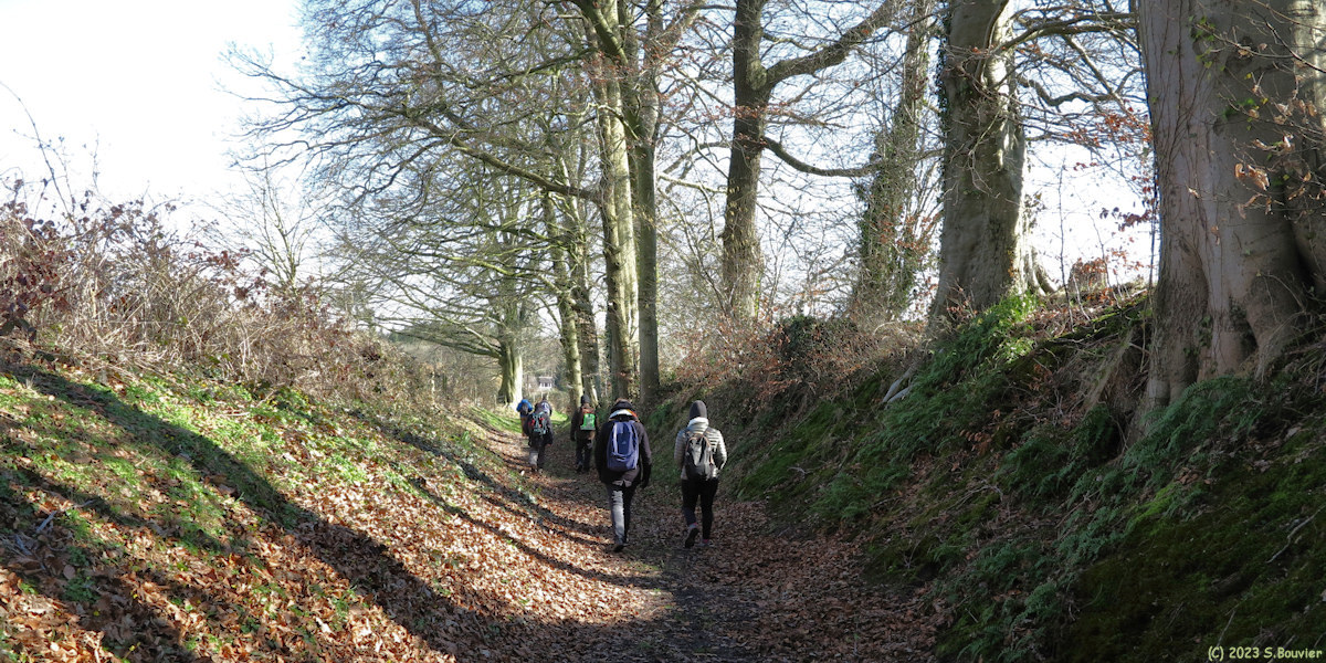 Emanville (Chemin 2)