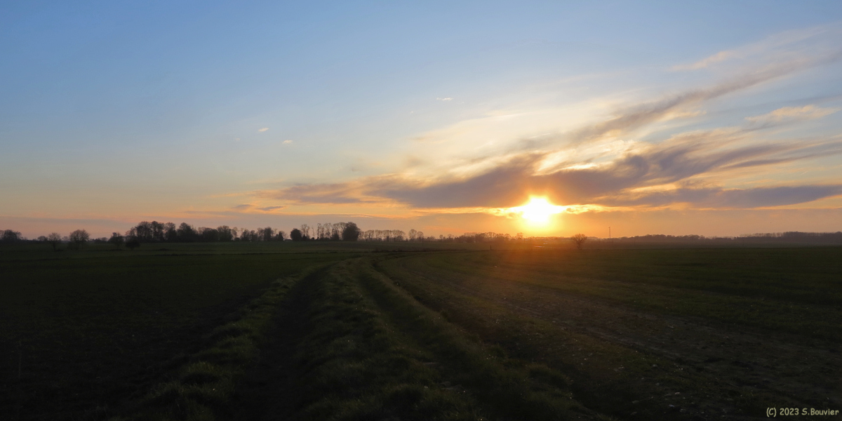 Emanville (Coucher de Soleil)