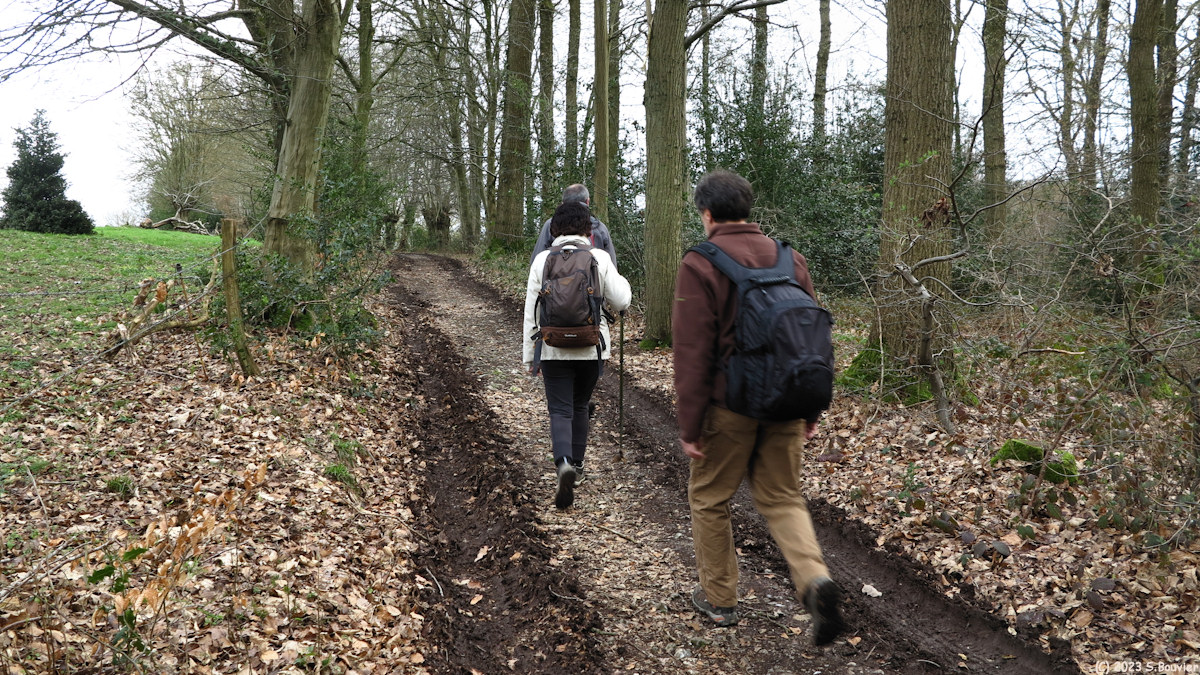Villers Ecalles (Chemin 2)