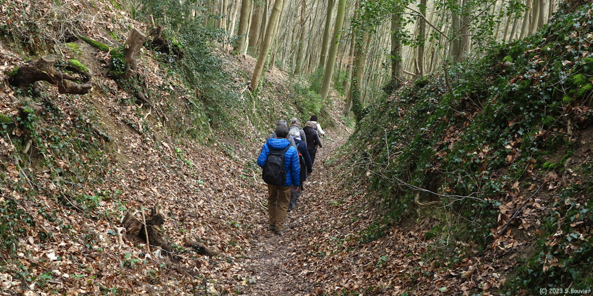 Villers Ecalles (Chemin 3)