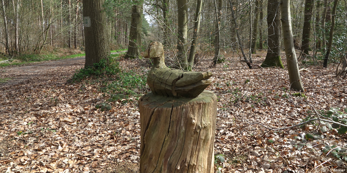 Forêt du Trait Maulévrier (Le Trait)